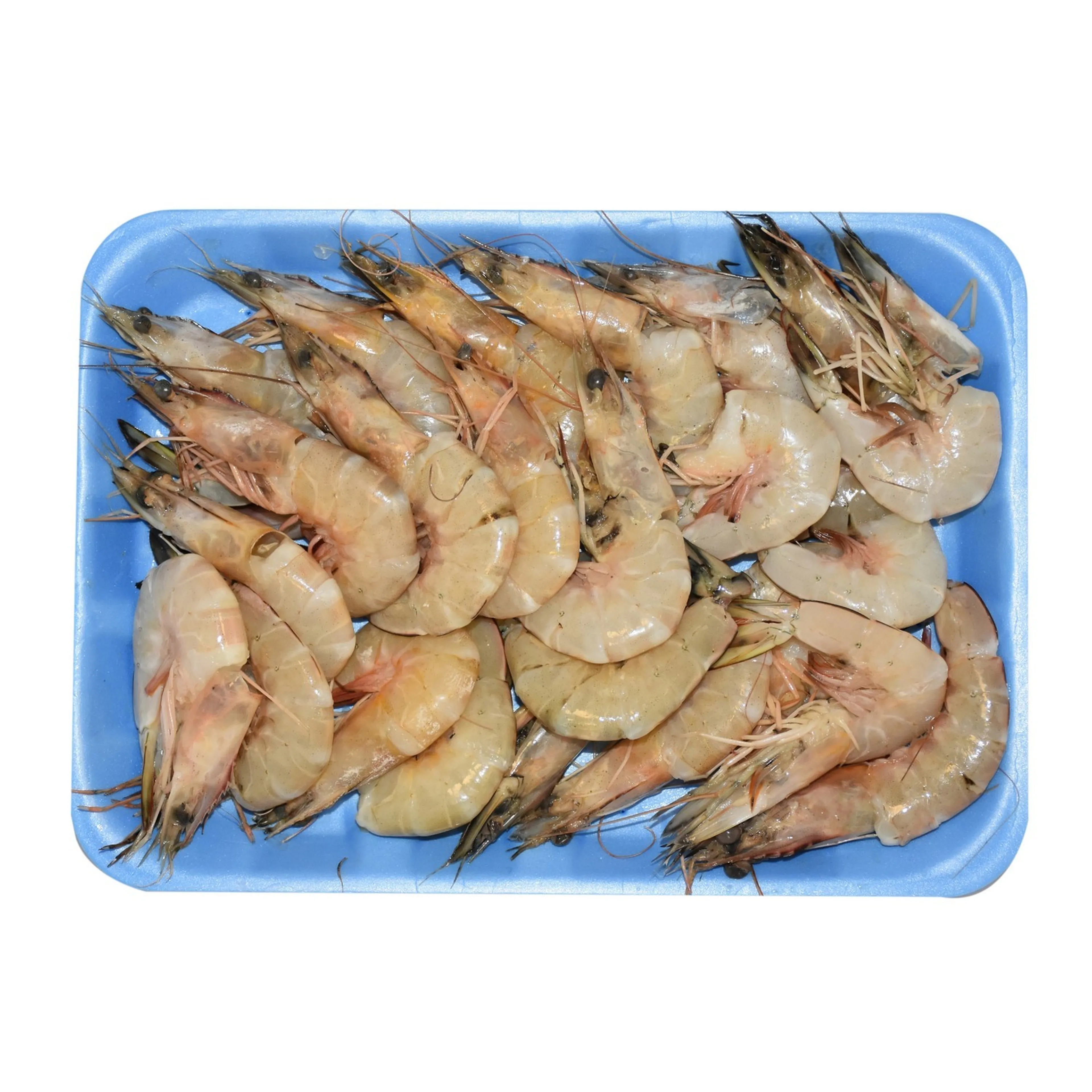 Prawns