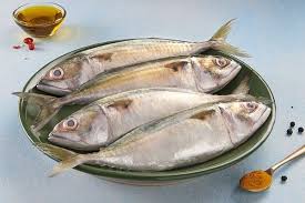 Ayala Medium ( Mackerel)