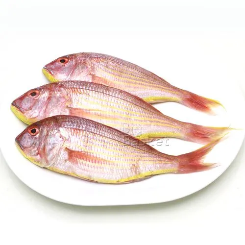 Kilimeen Medium ( Pink perch)
