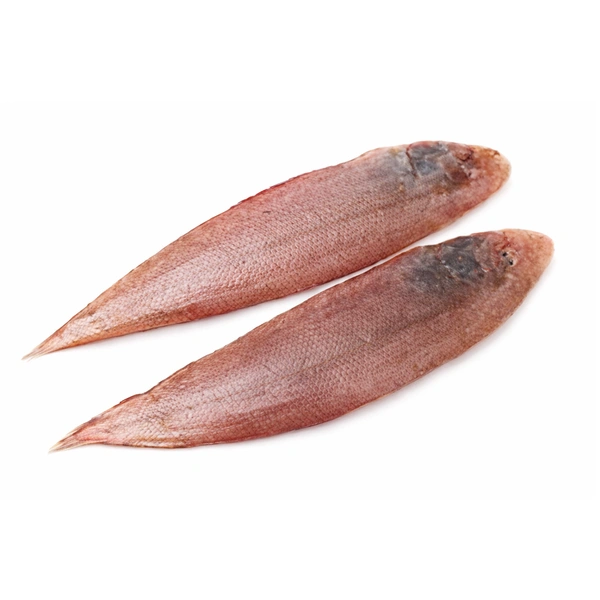 Nanke (Sole Fish)